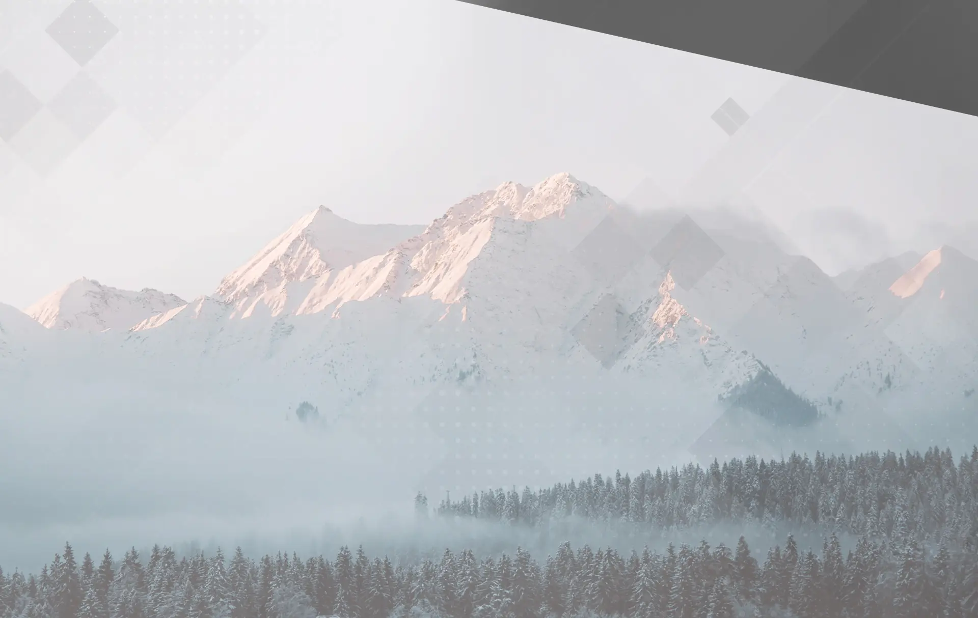 truck-by-vocation background image